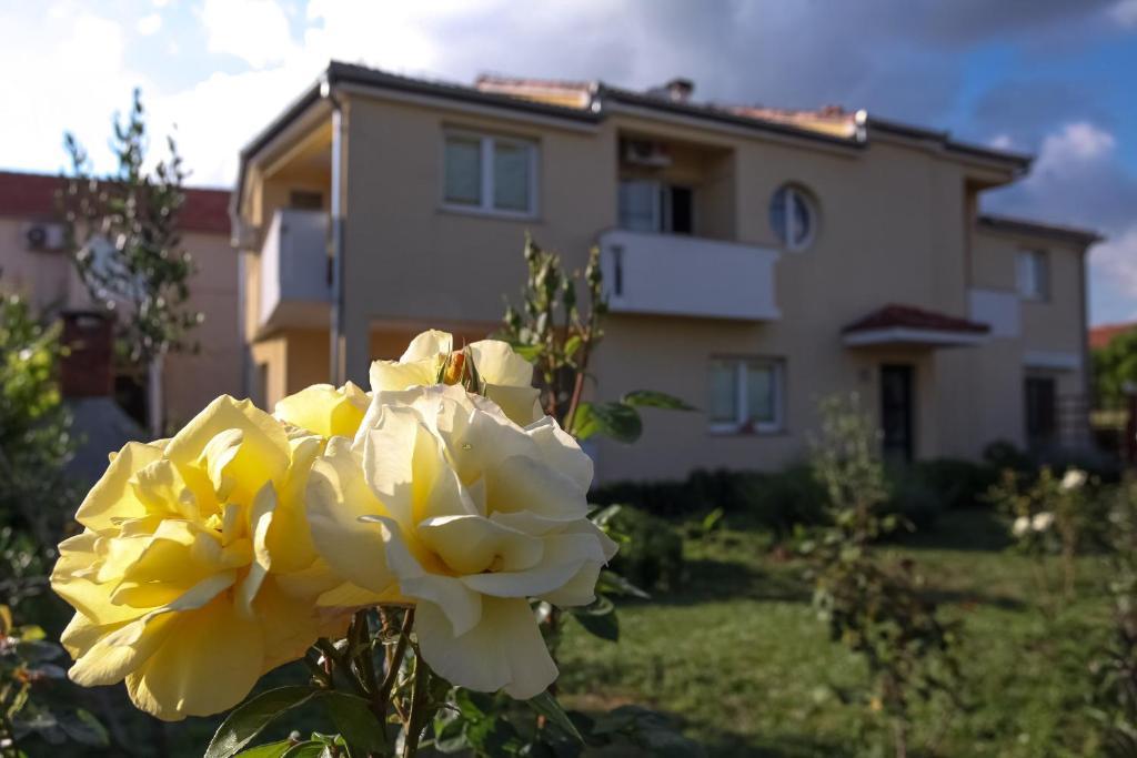 Apartments Emma 比奥格勒·纳·莫鲁 外观 照片